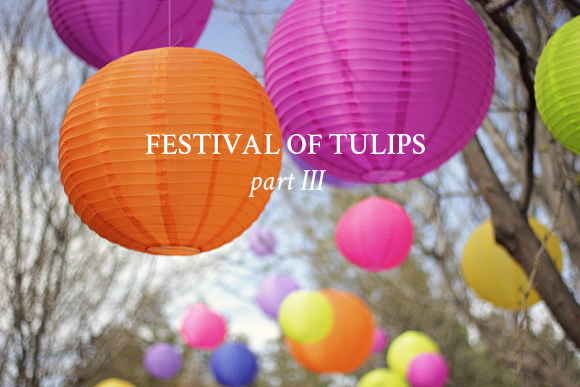 Festival of Tulips / Part 3