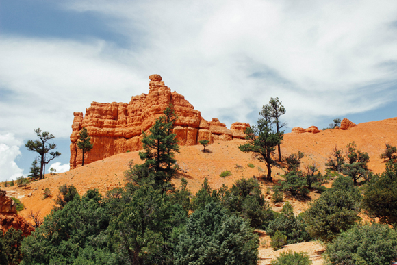 Dixie National Forest